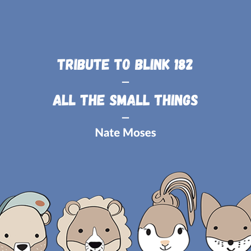 Blink 182 - All The Small Things (Cover)