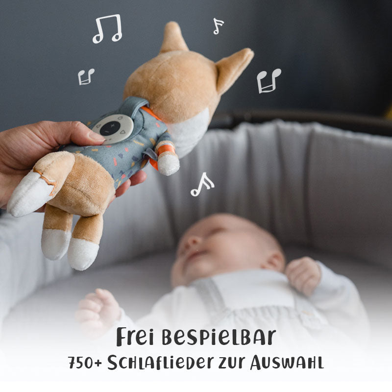 Schlaf-Gut-Set: Peter der Fuchs