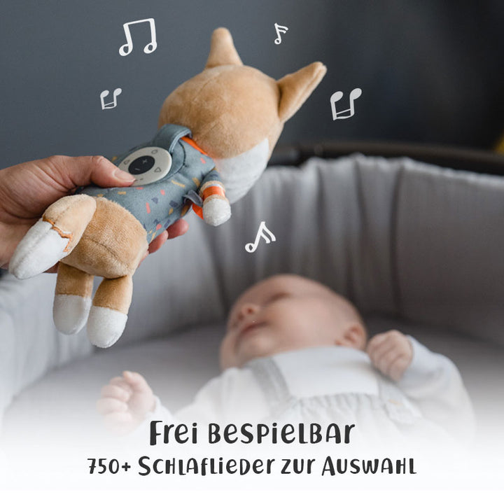 Schlaf-Gut-Set: Peter der Fuchs
