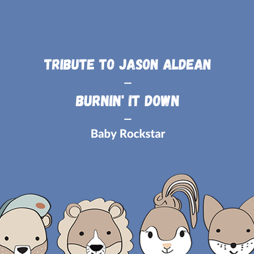 Jason Aldean - Burnin' It Down (Cover)