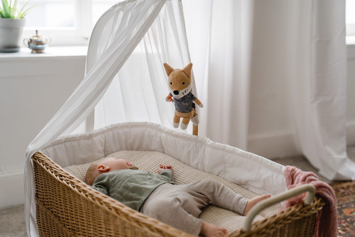 Baby schläft in einer Korbwiege, Peter der Fuchs hängt am Baldachin.