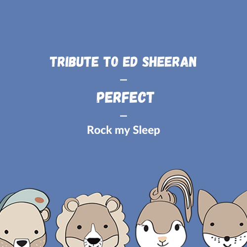 Musikcover: Ed Sheeran - Perfect
