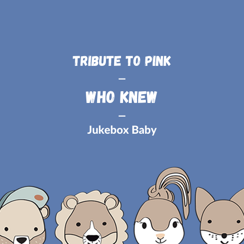 Pink - Who Knew (Cover)